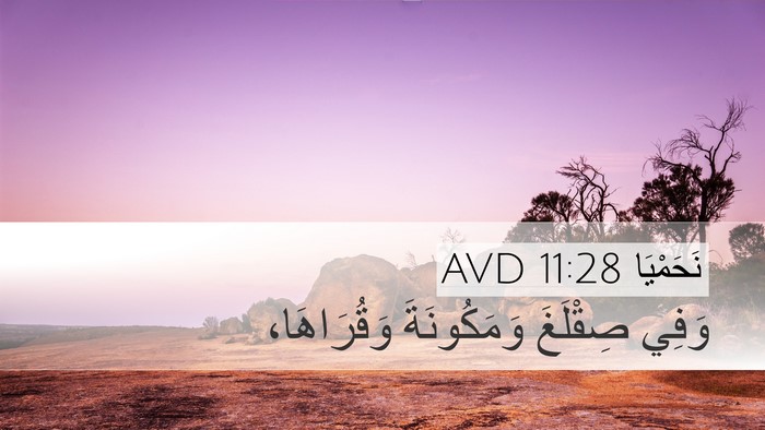 نَحَمْيَا 11:28 AVD Bible Verse Image