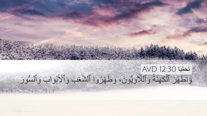 نَحَمْيَا 12:30 AVD Bible Verse Image
