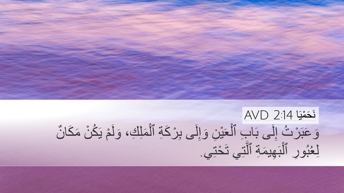 نَحَمْيَا 2:14 AVD Desktop Wallpaper - وَعَبَرْتُ إِلَى بَابِ - Desktop Bible Verse Wallpaper