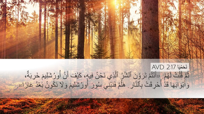 نَحَمْيَا 2:17 AVD Bible Verse Image