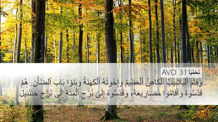 نَحَمْيَا 3:1 AVD Bible Verse Image