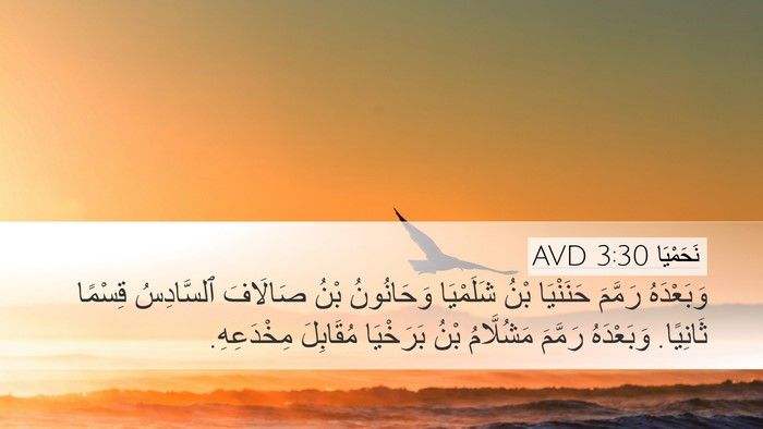 نَحَمْيَا 3:30 AVD Bible Verse Image