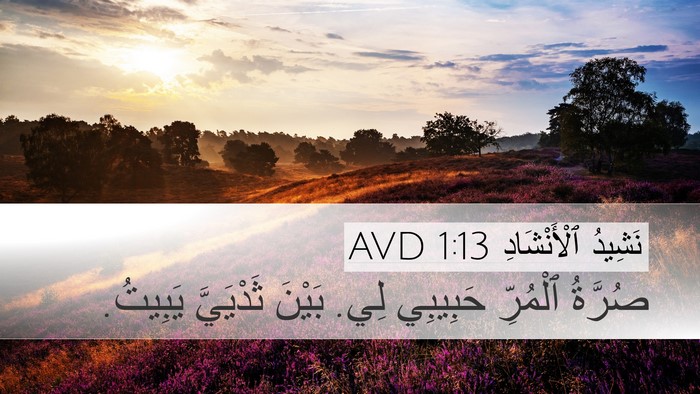 نَشِيدُ ٱلْأَنْشَادِ 1:13 AVD Bible Verse Image
