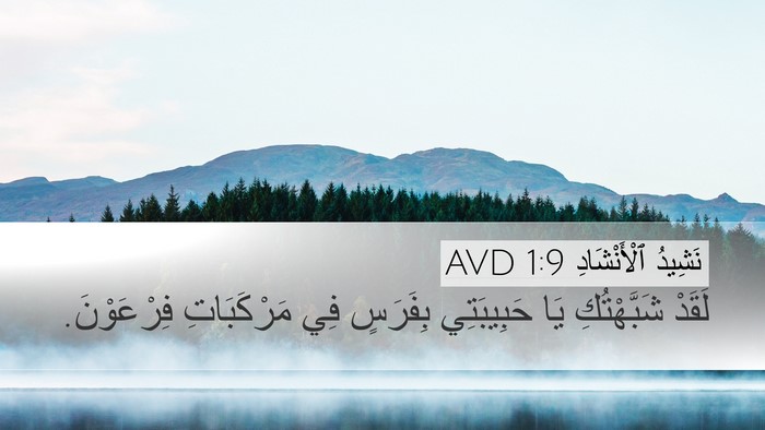 نَشِيدُ ٱلْأَنْشَادِ 1:9 AVD Desktop Wallpaper - لَقَدْ شَبَّهْتُكِ يَا - Desktop Bible Verse Wallpaper