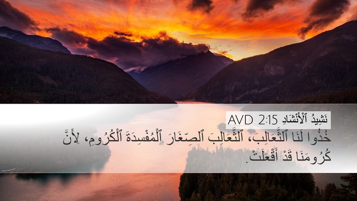 نَشِيدُ ٱلْأَنْشَادِ 2:15 AVD Desktop Wallpaper - خُذُوا لَنَا - Desktop Bible Verse Wallpaper