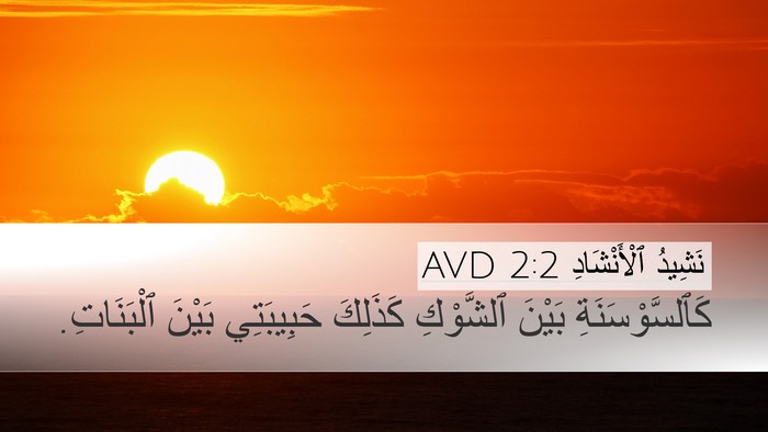 نَشِيدُ ٱلْأَنْشَادِ 2:2 AVD Bible Verse Image