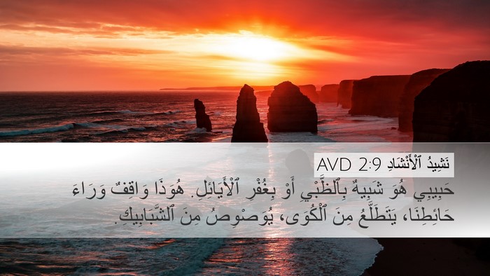 نَشِيدُ ٱلْأَنْشَادِ 2:9 AVD Bible Verse Image