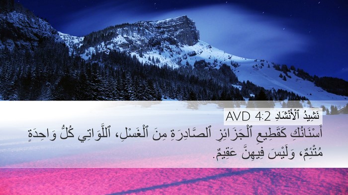 نَشِيدُ ٱلْأَنْشَادِ 4:2 AVD Bible Verse Image