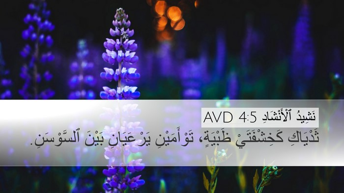 نَشِيدُ ٱلْأَنْشَادِ 4:5 AVD Bible Verse Image