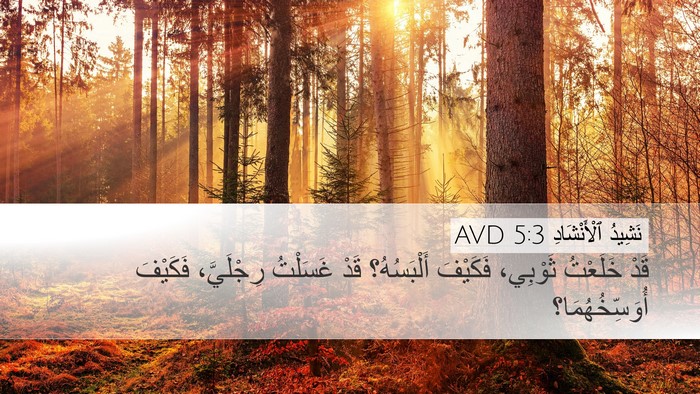 نَشِيدُ ٱلْأَنْشَادِ 5:3 AVD Desktop Wallpaper - قَدْ خَلَعْتُ ثَوْبِي، - Desktop Bible Verse Wallpaper