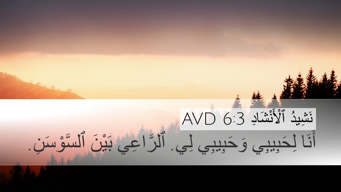 نَشِيدُ ٱلْأَنْشَادِ 6:3 AVD Bible Verse Image