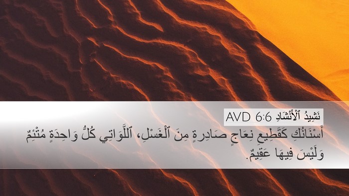 نَشِيدُ ٱلْأَنْشَادِ 6:6 AVD Bible Verse Image