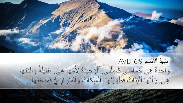 نَشِيدُ ٱلْأَنْشَادِ 6:9 AVD Bible Verse Image