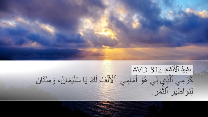 نَشِيدُ ٱلْأَنْشَادِ 8:12 AVD Bible Verse Image