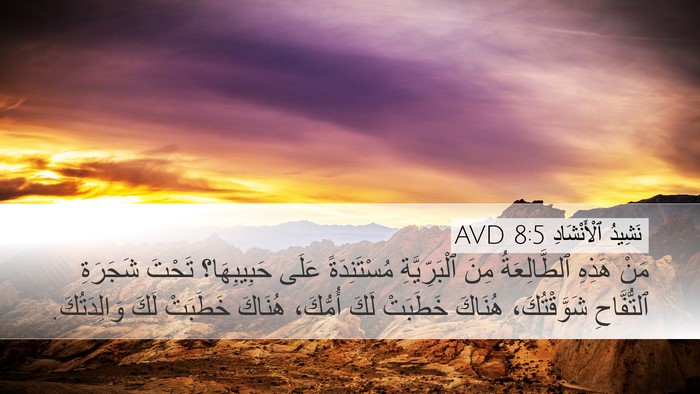 نَشِيدُ ٱلْأَنْشَادِ 8:5 AVD Bible Verse Image