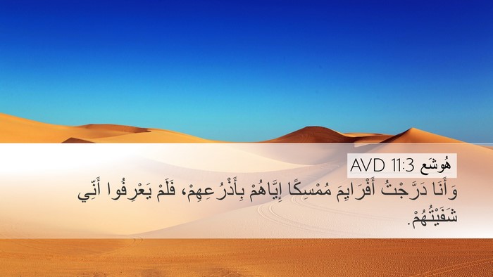 هُوشَع 11:3 AVD Bible Verse Image