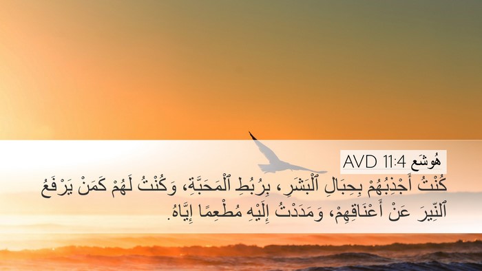 هُوشَع 11:4 AVD Bible Verse Image
