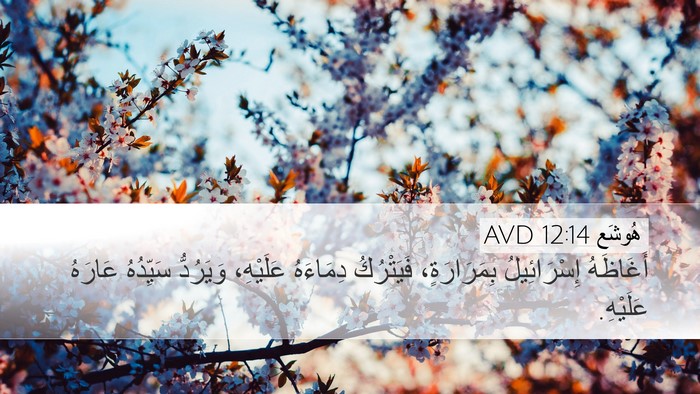 هُوشَع 12:14 AVD Bible Verse Image