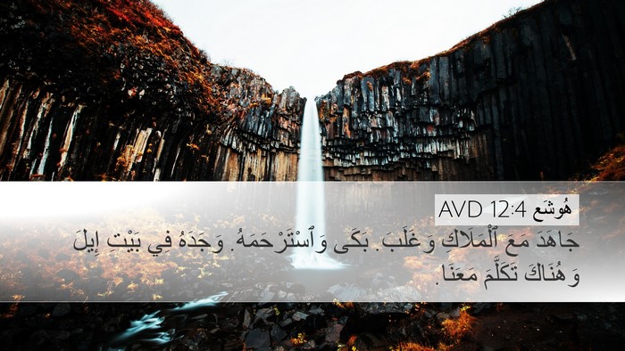 هُوشَع 12:4 AVD Bible Verse Image