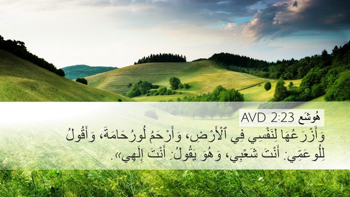 هُوشَع 2:23 AVD Bible Verse Image