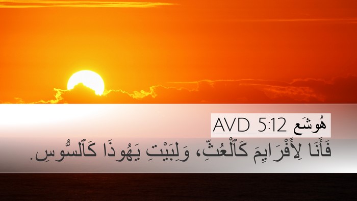 هُوشَع 5:12 AVD Bible Verse Image