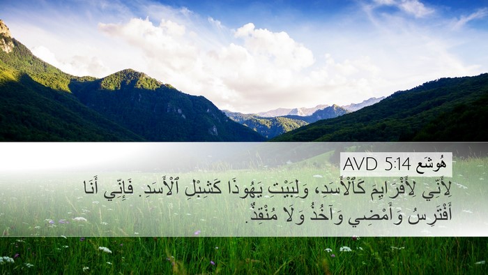 هُوشَع 5:14 AVD Bible Verse Image