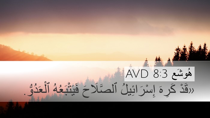 هُوشَع 8:3 AVD Desktop Wallpaper - «قَدْ كَرِهَ إِسْرَائِيلُ - Desktop Bible Verse Wallpaper