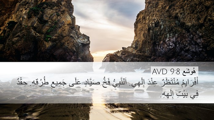 هُوشَع 9:8 AVD Bible Verse Image