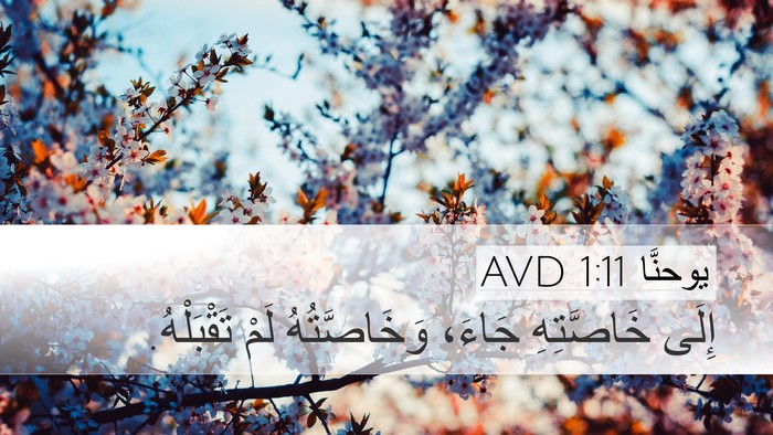 يوحنَّا 1:11 AVD Bible Verse Image