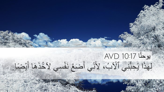 يوحنَّا 10:17 AVD Bible Verse Image
