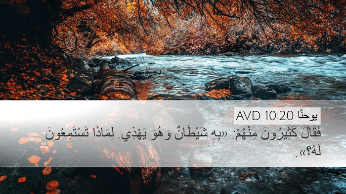 يوحنَّا 10:20 AVD Bible Verse Image