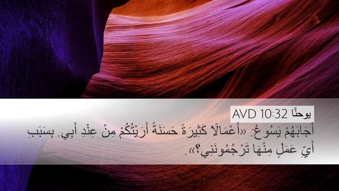 يوحنَّا 10:32 AVD Bible Verse Image