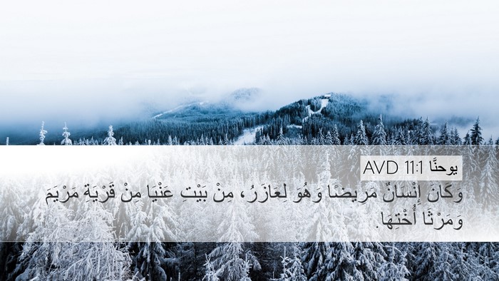 يوحنَّا 11:1 AVD Bible Verse Image