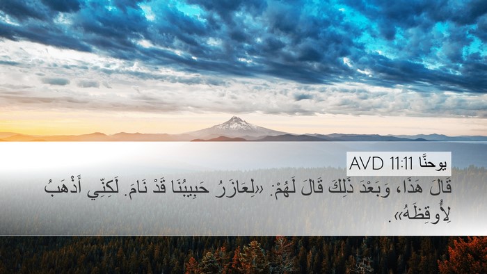يوحنَّا 11:11 AVD Bible Verse Image