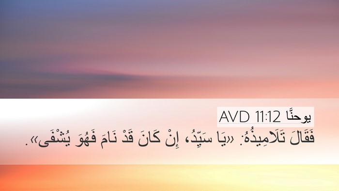 يوحنَّا 11:12 AVD Desktop Wallpaper - فَقَالَ تَلَامِيذُهُ: «يَا - Desktop Bible Verse Wallpaper