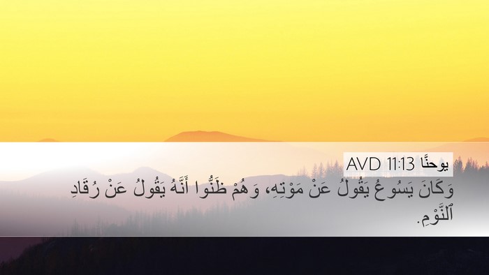 يوحنَّا 11:13 AVD Desktop Wallpaper - وَكَانَ يَسُوعُ يَقُولُ - Desktop Bible Verse Wallpaper