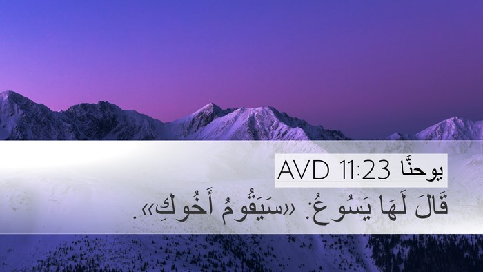 يوحنَّا 11:23 AVD Bible Verse Image
