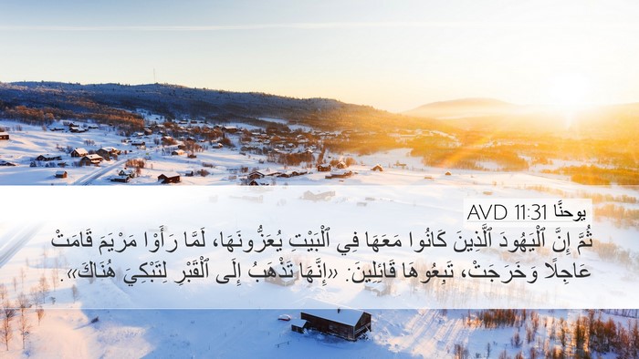 يوحنَّا 11:31 AVD Desktop Wallpaper - ثُمَّ إِنَّ ٱلْيَهُودَ - Desktop Bible Verse Wallpaper