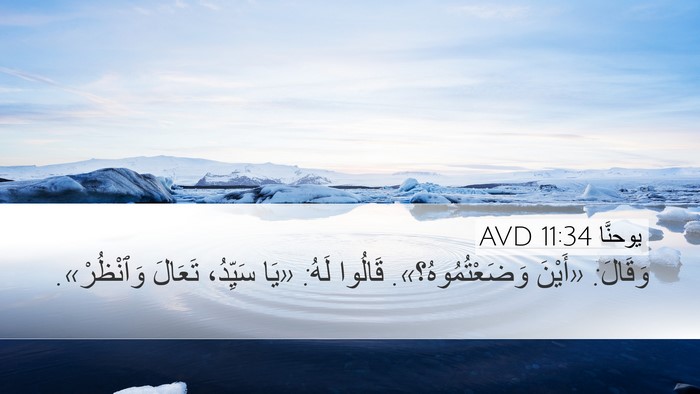 يوحنَّا 11:34 AVD Desktop Wallpaper - وَقَالَ: «أَيْنَ - Desktop Bible Verse Wallpaper