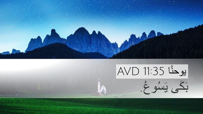 يوحنَّا 11:35 AVD Bible Verse Image