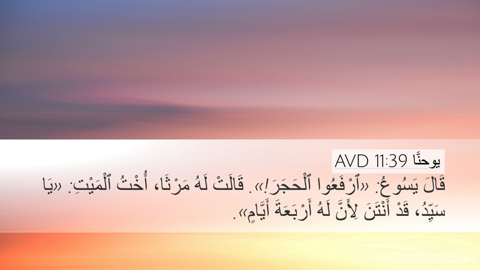 يوحنَّا 11:39 AVD Bible Verse Image