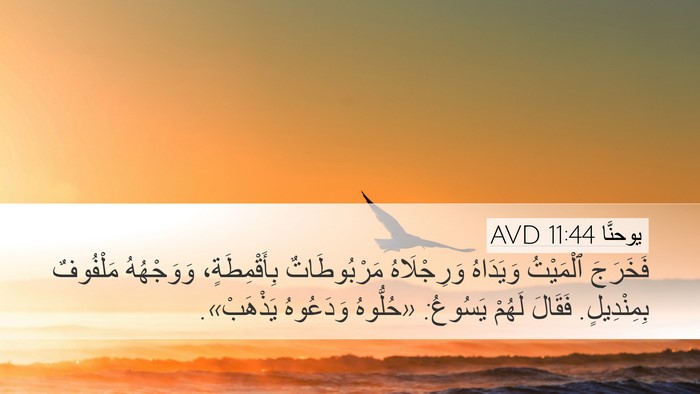 يوحنَّا 11:44 AVD Bible Verse Image