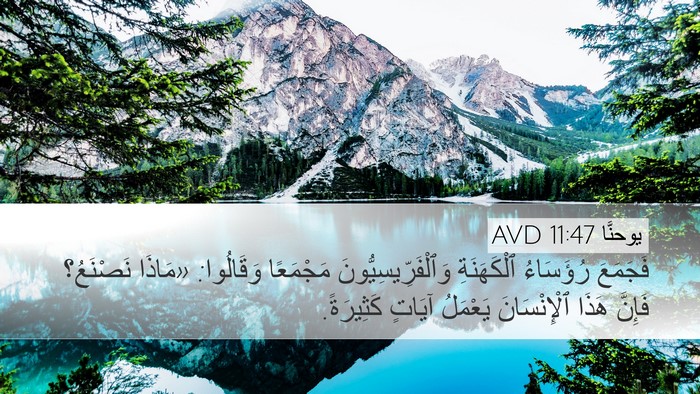 يوحنَّا 11:47 AVD Bible Verse Image