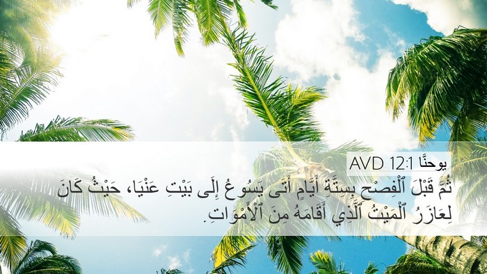 يوحنَّا 12:1 AVD Bible Verse Image