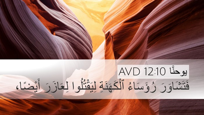 يوحنَّا 12:10 AVD Bible Verse Image
