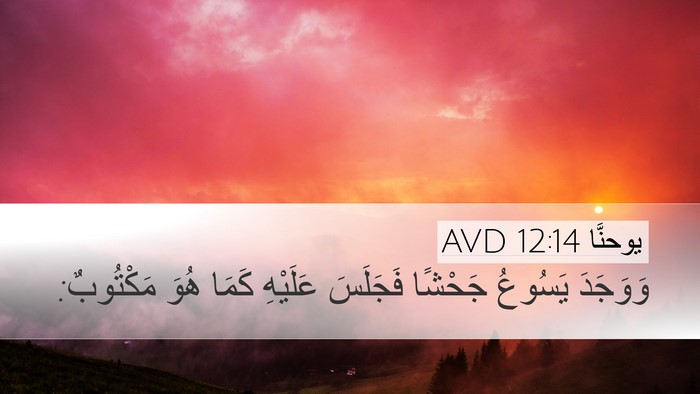 يوحنَّا 12:14 AVD Bible Verse Image
