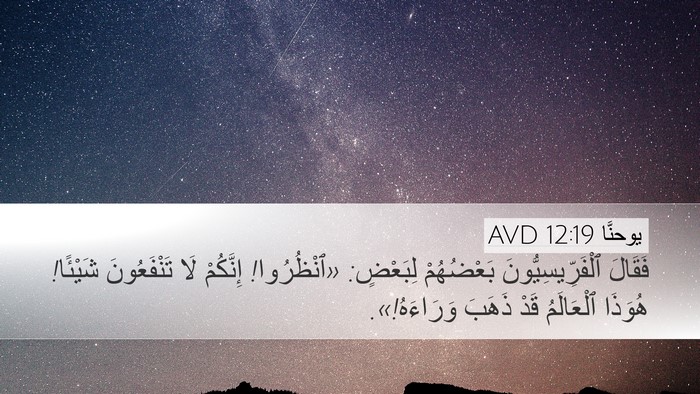 يوحنَّا 12:19 AVD Bible Verse Image