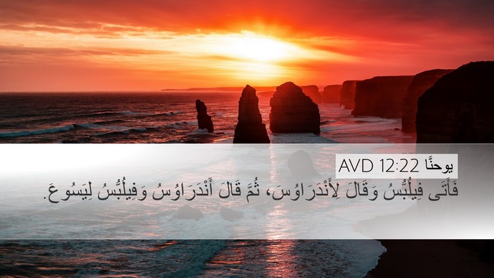 يوحنَّا 12:22 AVD Bible Verse Image