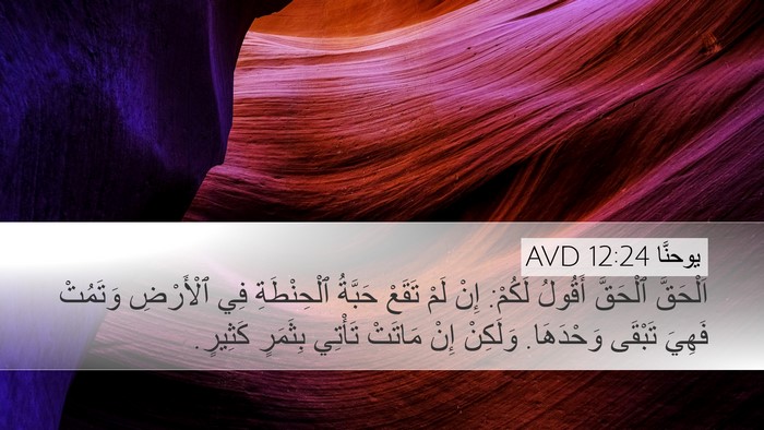 يوحنَّا 12:24 AVD Bible Verse Image