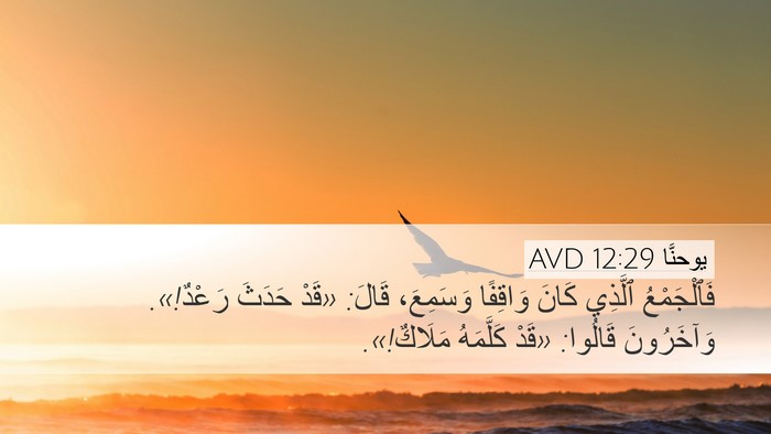 يوحنَّا 12:29 AVD Bible Verse Image